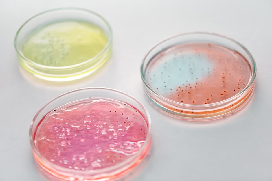Tips Menyimpan Bahan Makanan agar Tahan Lama